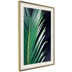 Arkiio Affisch Sharp Leaves [Poster] 20x30 Poster